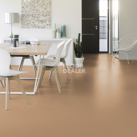 Gerflor Taralay Initial Compact (Plain & allover look) 0954 Spider Dore фото 2 | FLOORDEALER